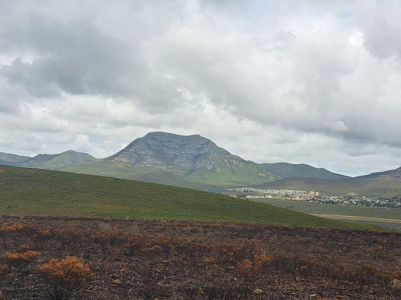 0 Bedroom Property for Sale in Kareedouw Eastern Cape